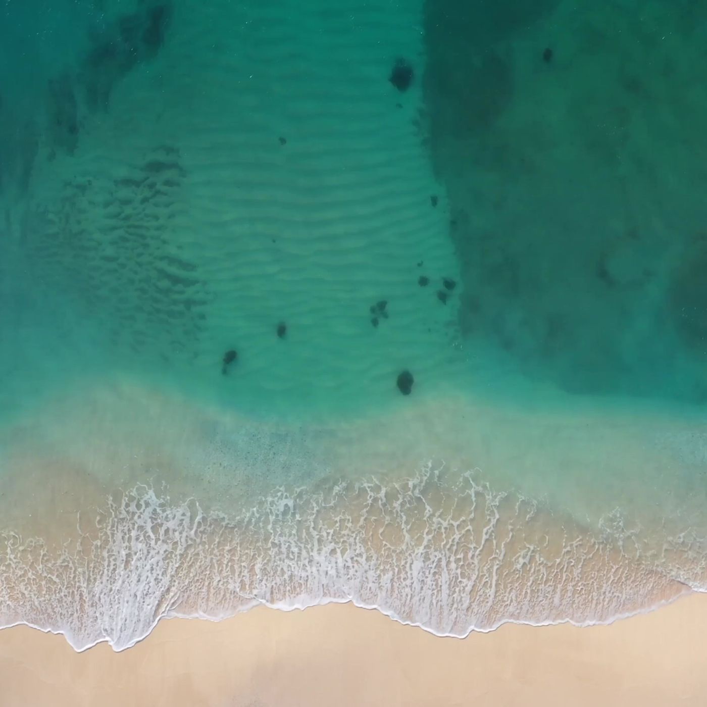 Where the water meets the sand